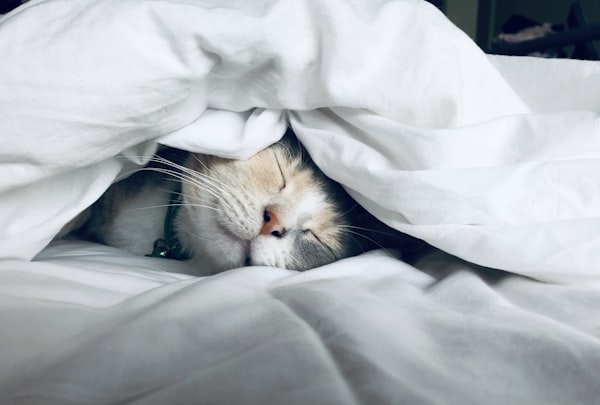 Sleep Disorder